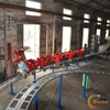 Dragon Roller Coaster