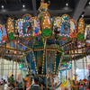 Animal World Luxury Carousel