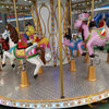 Attractive Rides Animal Carousel