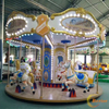 12Seats Carousel
