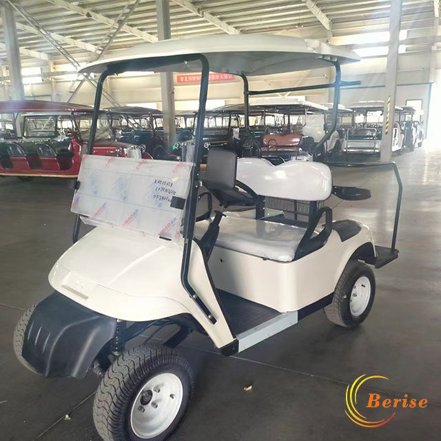Golf Course Tourism Car