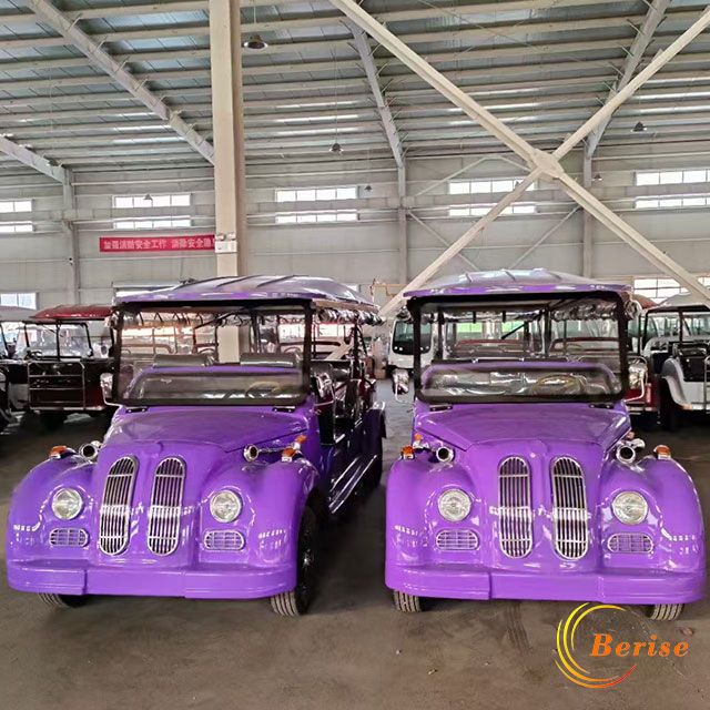 Vintage Tourism Car Park Travelling Car