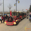 Diesel Tourist Train
