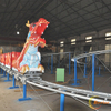 Dragon Roller Coaster