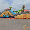 Inflatable Water Slides
