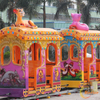 Elephant Track Train
