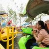Shark Fighting Rides