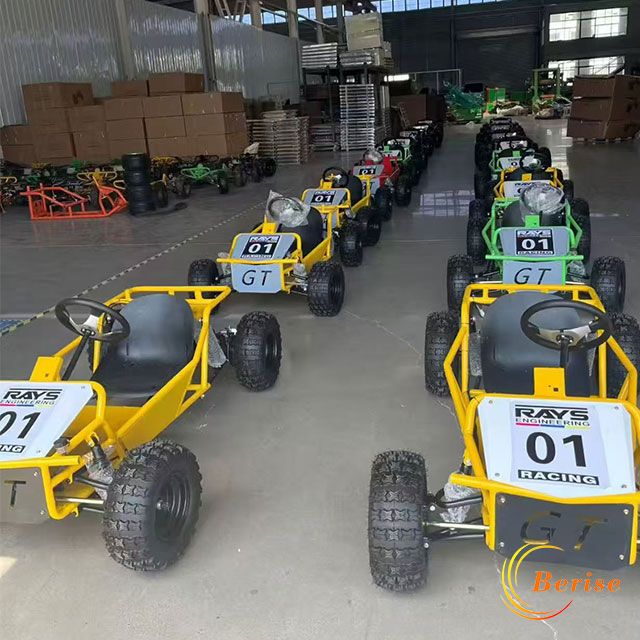 outdoor sports games exciting gasoline go karts
